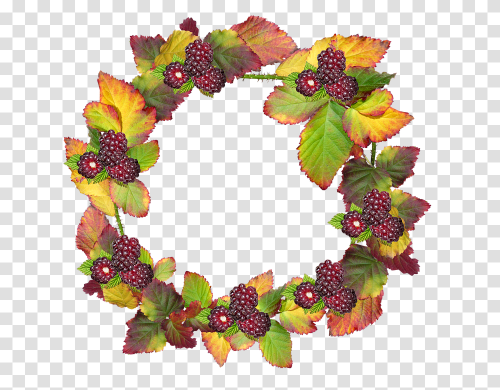 Free Photo Border Autumn Frame Fall Leaves Berries Wreath, Plant, Raspberry, Fruit, Food Transparent Png