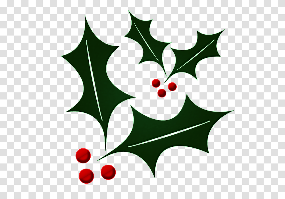 Free Photo Christmas Ilex Plant Holly Isolated Flower Leaf, Tree, Thistle, Painting Transparent Png