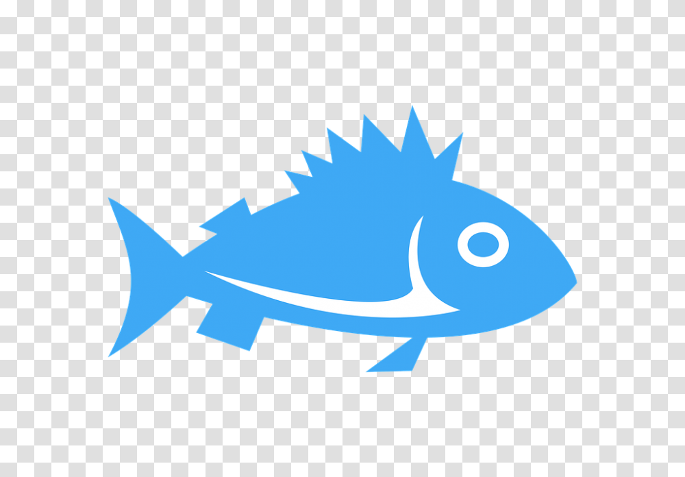 Free Photo Clipart Icon Sea Fish Cartoon Sign Water, Animal, Shark, Sea Life, Tuna Transparent Png