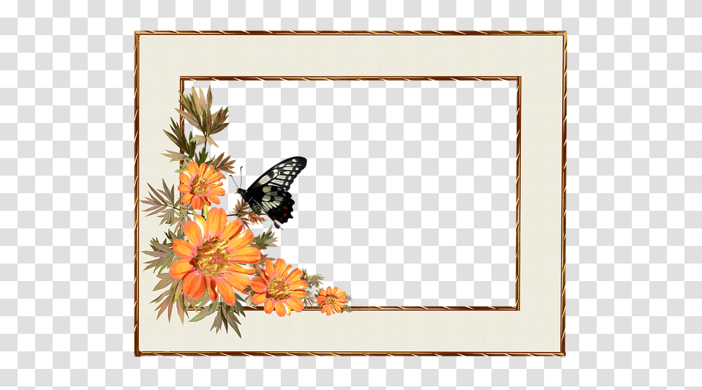 Free Photo Decorative Border Flowers Frame Butterfly, Insect, Invertebrate, Animal, Plant Transparent Png
