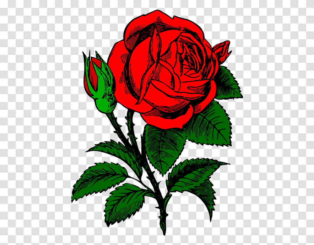 Free Photo Floral Bouquet Rose Red Flower Love Blossom Max Gambar Bunga Mawar Vektor, Plant, Graphics, Art, Green Transparent Png