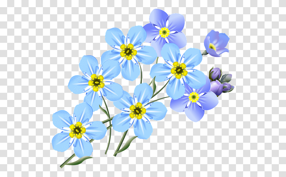 Free Photo Flower Forget Me Nots Blue Drawing Small Flowers, Plant, Blossom, Anemone, Daisy Transparent Png