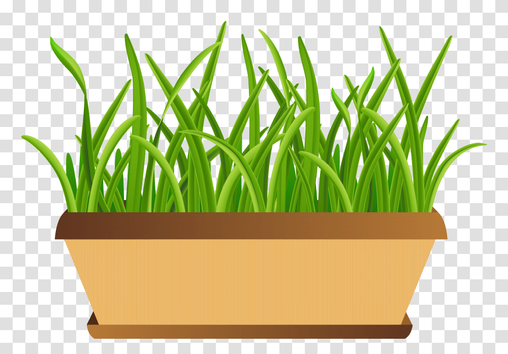 Free Photo Flower Pot Transparent Png