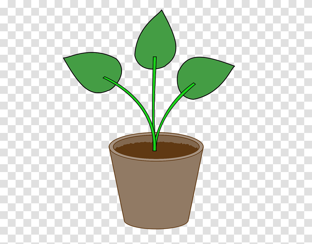Free Photo Flowerpot Gardening Leaf Pot Houseplant Plant, Green, Lamp, Geranium, Blossom Transparent Png