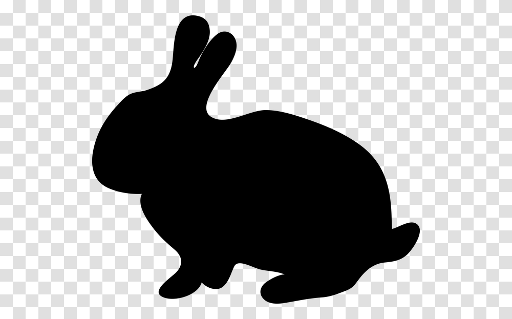 Free Photo Flowers Easter Happy Bunny Holidays Spring, Gray, World Of Warcraft Transparent Png