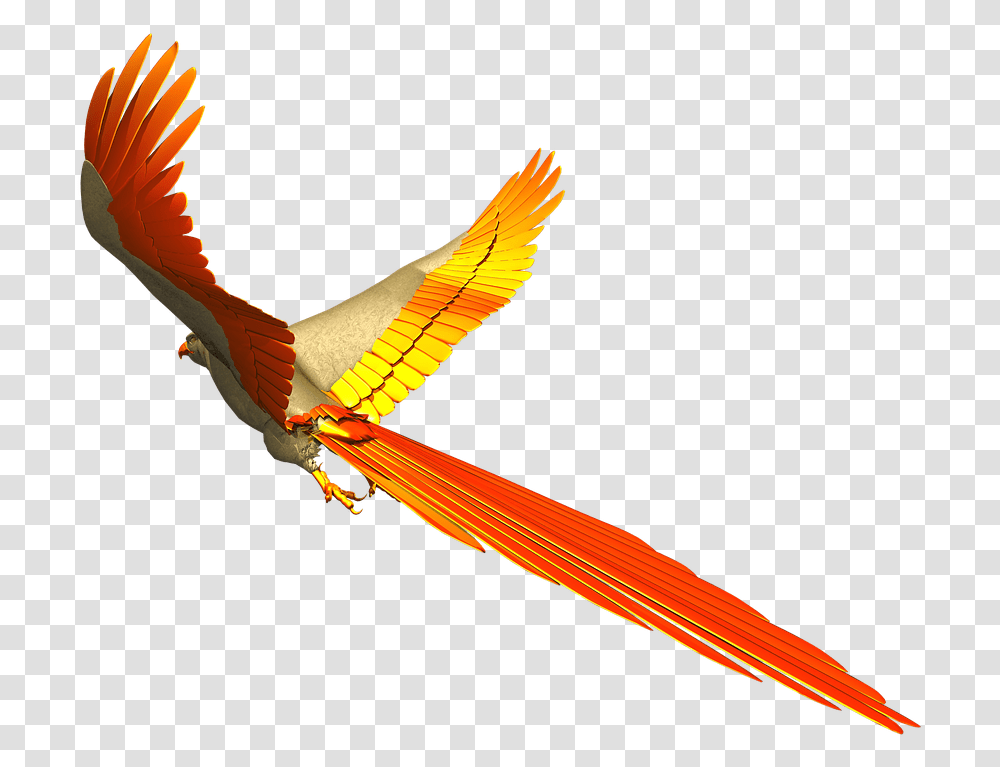 Free Photo Fly Colorful Parrot Isolated Flight Colorful Birds Flying, Dragon, Animal Transparent Png