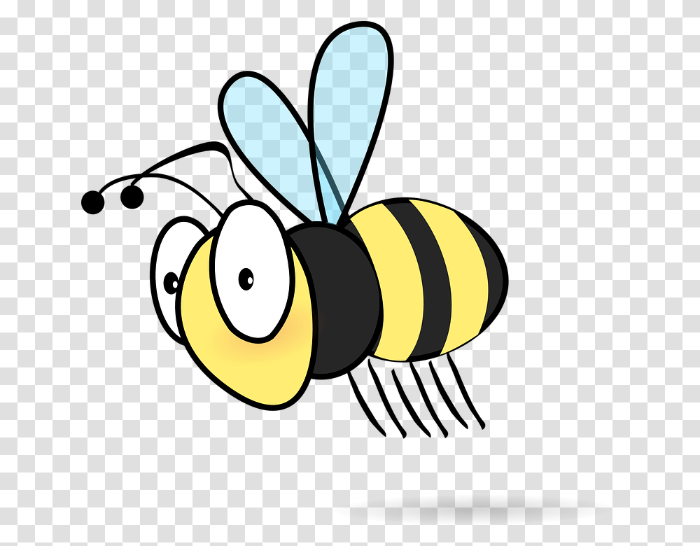 Free Photo Fly Insect Bee Stinger Flying Wing Honeybee, Wasp, Invertebrate, Animal, Hornet Transparent Png
