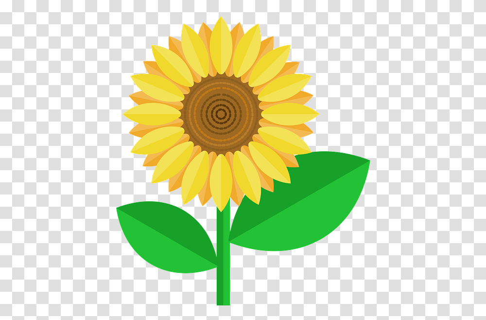 Free Photo Nature Flower Petals Yellow Flourish Sunflower Independence Day 15 August Wishes, Plant, Blossom Transparent Png