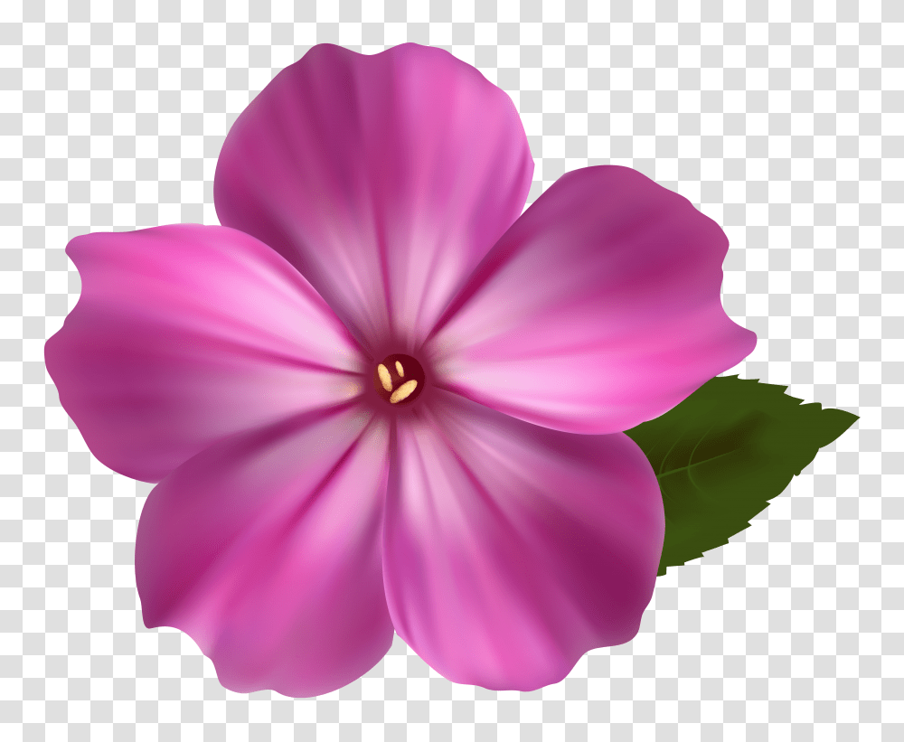 Free Photo Pink Flower Transparent Png