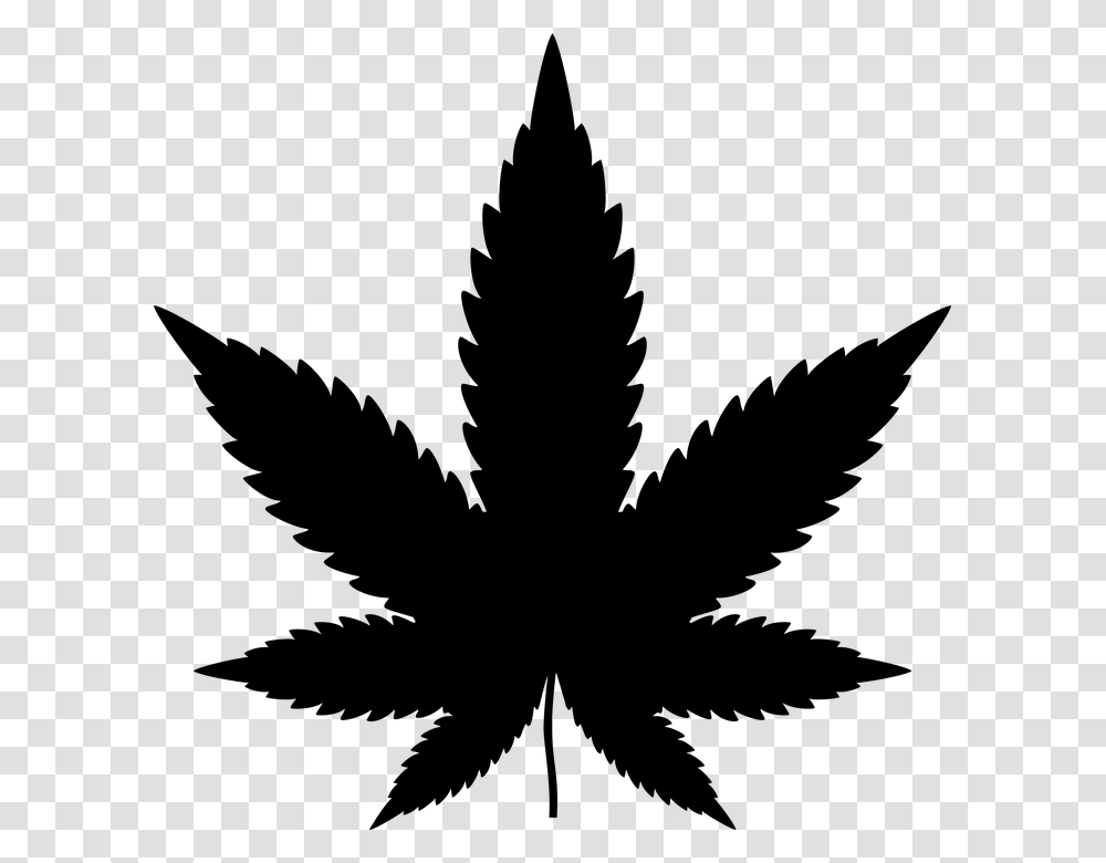 Free Photo Plant Cannabis Marijuana Drugs Leaf Drug Hemp, Gray, World Of Warcraft Transparent Png