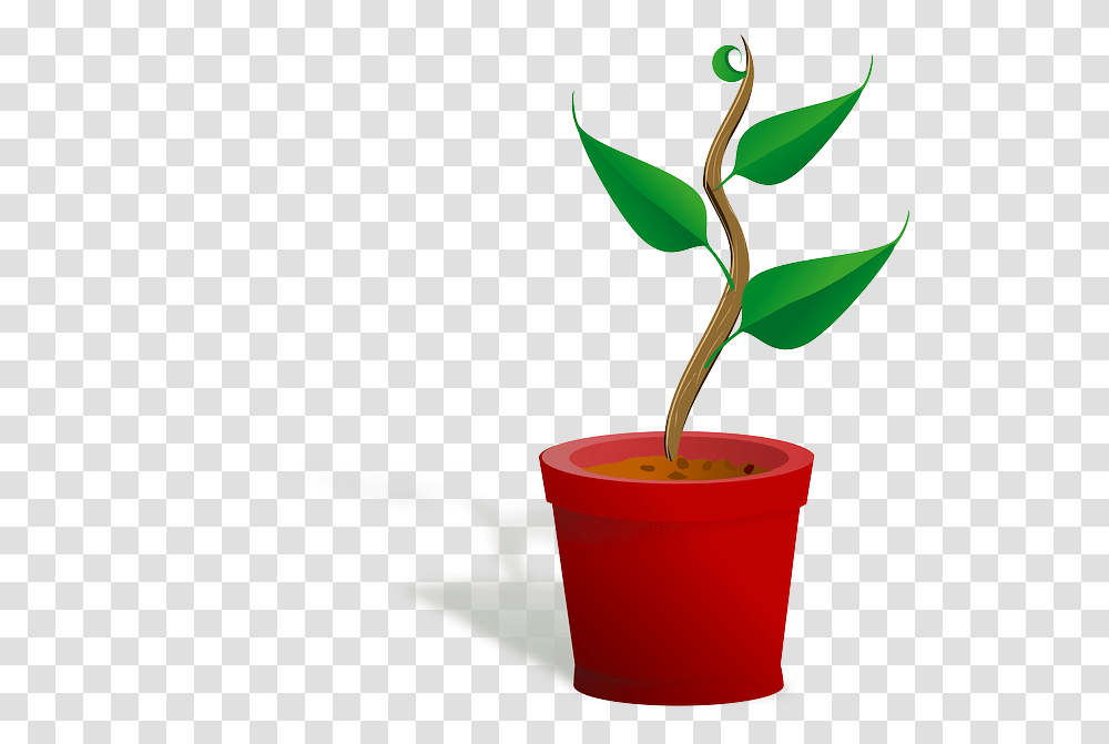 Free Photo Plant Green Crack Resistance Leaves Survive, Sprout, Leaf, Bud, Flower Transparent Png