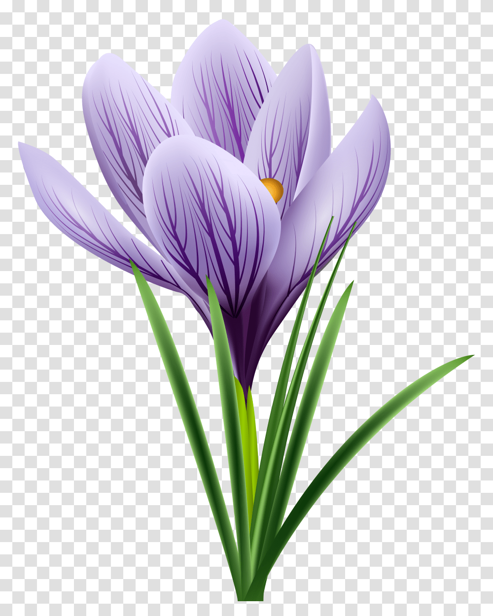 Free Photo Purple Flower Transparent Png