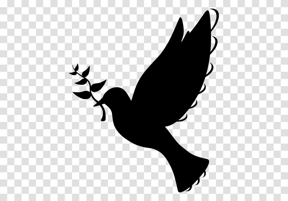 Free Photo Silhouette Symbol Flying Olive Branch Peace Dove, Gray, World Of Warcraft Transparent Png