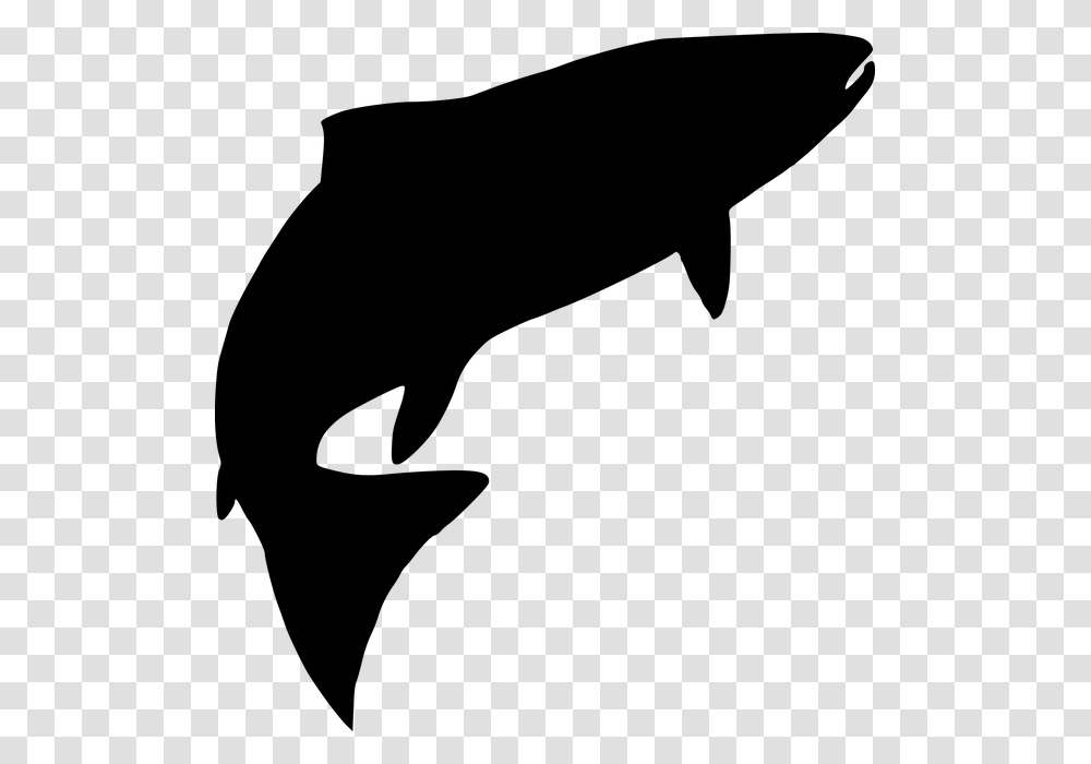 Free Photo Silhouette Water Creatures Fish Tuna Water Sea, Gray, World Of Warcraft Transparent Png