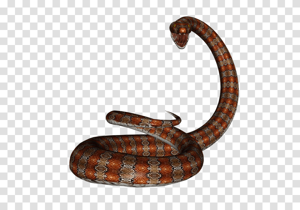 Free Photo Snake Serpent Herpetology Reptile Rat Snake Red, Animal, King Snake, Cobra, Rattlesnake Transparent Png