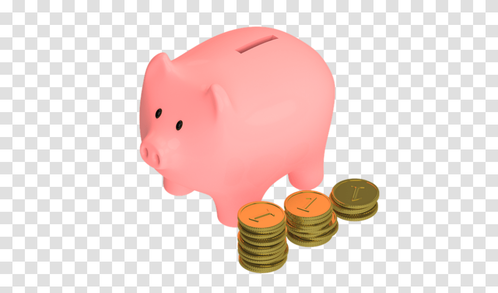 Free Photo Snout Piggy Pig Coins Pennies Money Animal Save, Piggy Bank Transparent Png