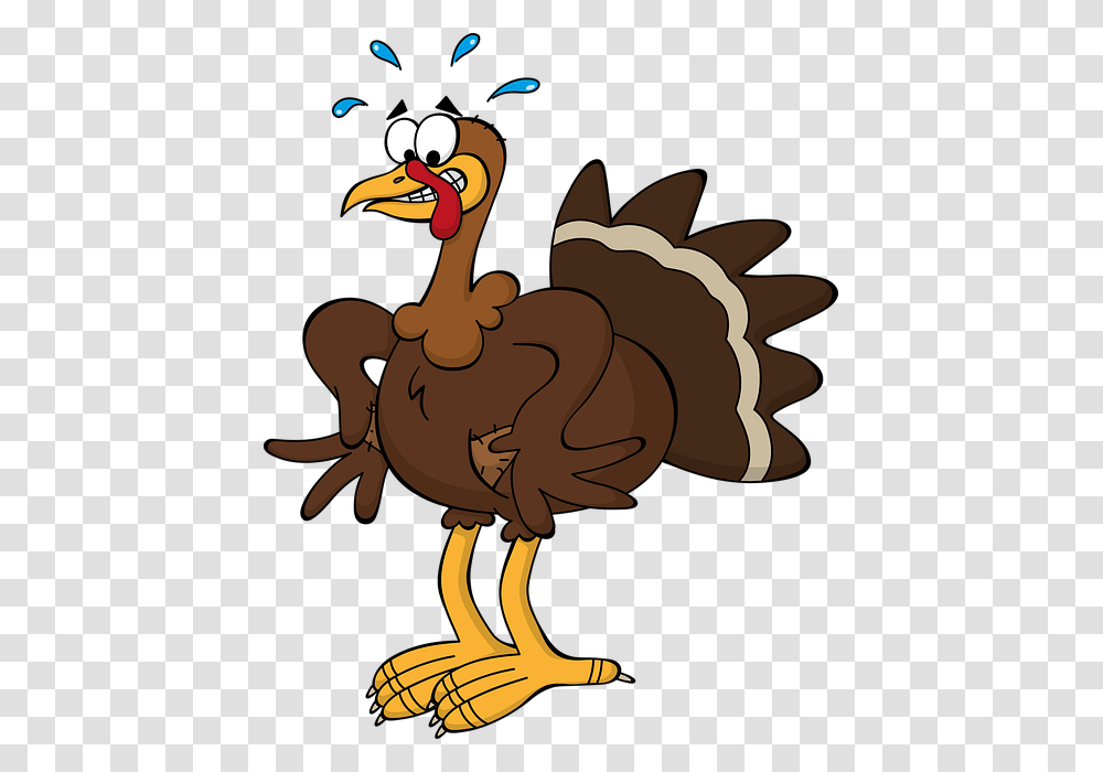 Free Photo Stressed Out Arm Bust Cash Strapped Animal Turkey, Bird, Dodo Transparent Png
