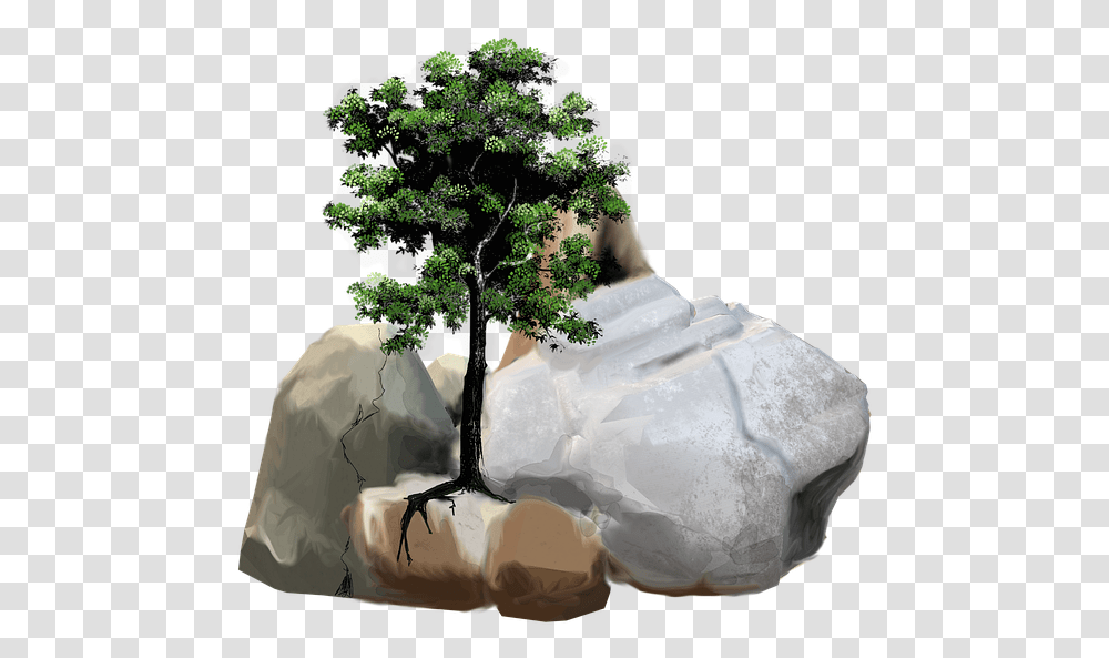 Free Photo Tree Nature Stone Pebble Leaves Rock Stones Max Tree With Stones, Plant, Leaf, Conifer, Outdoors Transparent Png