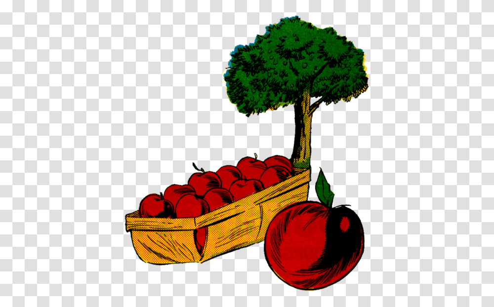 Free Photos Apple Clip Art Search Download, Plant, Fruit, Food, Produce Transparent Png
