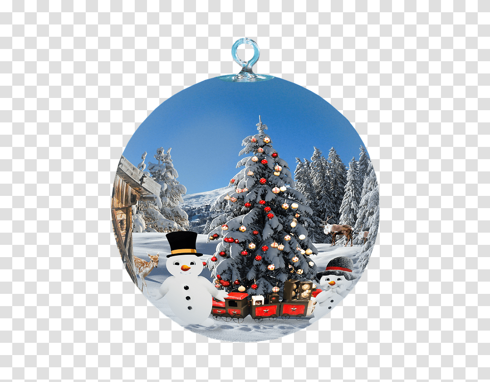 Free Photos Christmas Tree Isolated Search Download Beautiful Christmas Images Hd, Nature, Plant, Outdoors, Snow Transparent Png