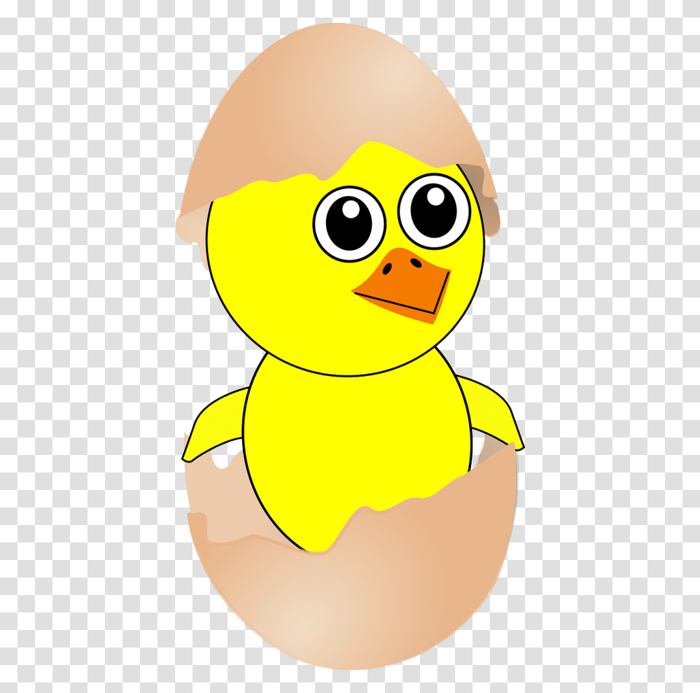 Free Photos Hatching Chick Illustration Search Download, Animal, Bird, Penguin, Beak Transparent Png