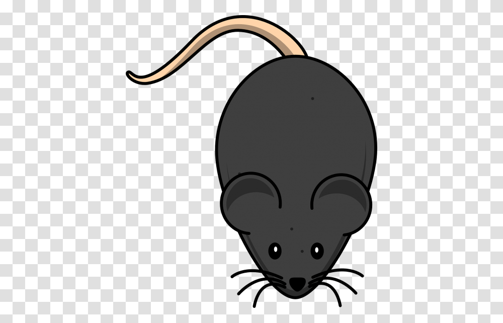 Free Photos Long Tail Mice Search Download, Plant, Lamp Transparent Png