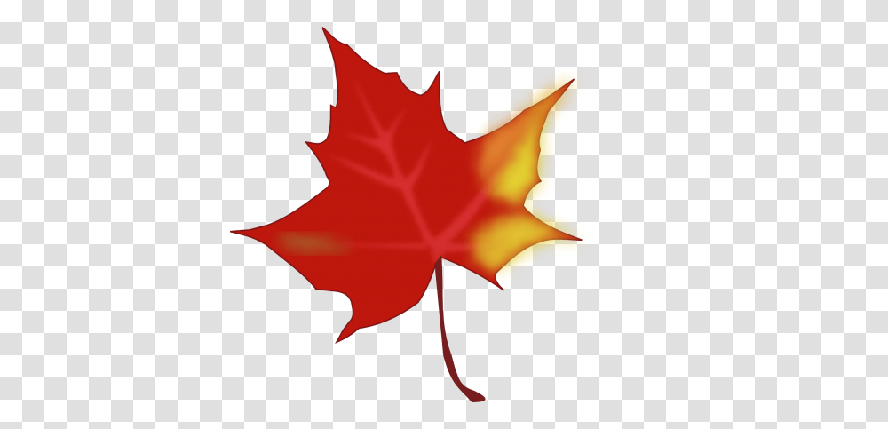 Free Photos Maple Leaf Search Download, Plant, Tree, Person, Human Transparent Png