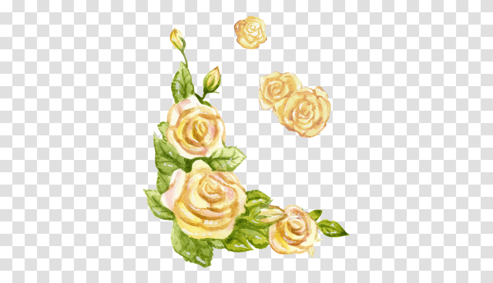 Free Photos Watercolor Rose Search Download Needpixcom Watercolor Yellow Roses, Plant, Flower, Blossom, Graphics Transparent Png