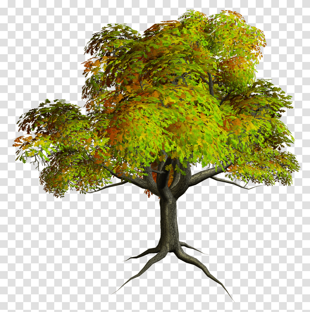 Free Photoshop Trees Download Format Tree Clipart, Plant, Potted Plant, Vase, Jar Transparent Png