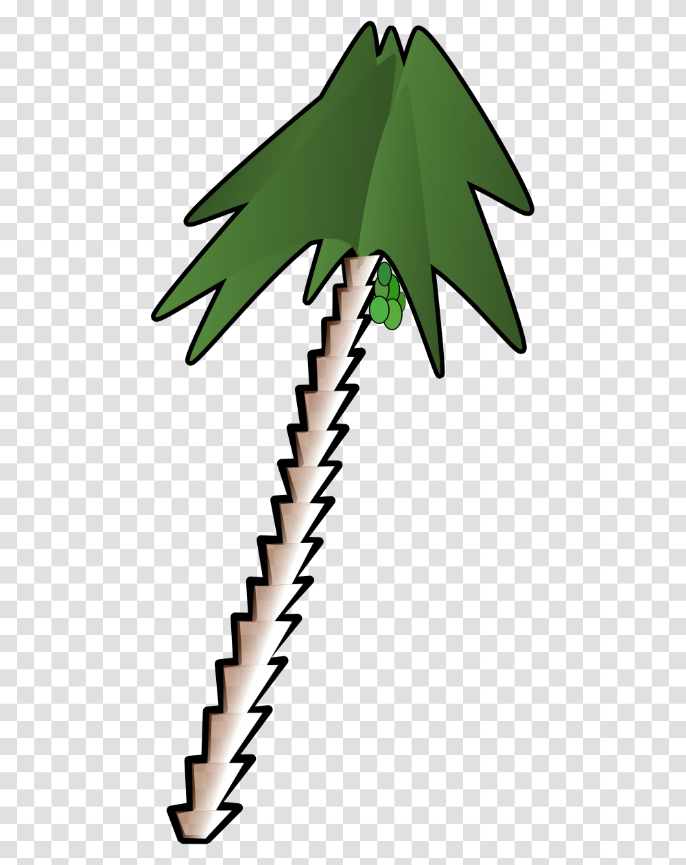 Free Pictures Of A Palm Tree, Plant, Arecaceae, Cross Transparent Png