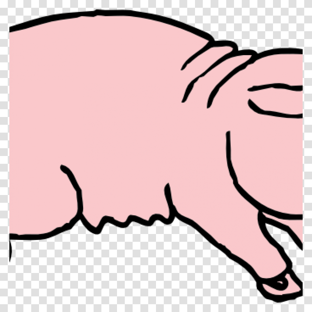 Free Pig Clipart Rainbow Clipart House Clipart Online Download, Mammal, Animal, Hog, Warthog Transparent Png