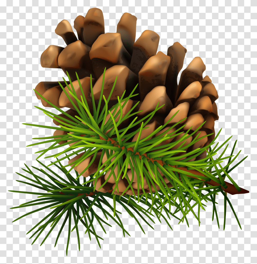 Free Pine Branch Download Christmas Pine Cone Transparent Png