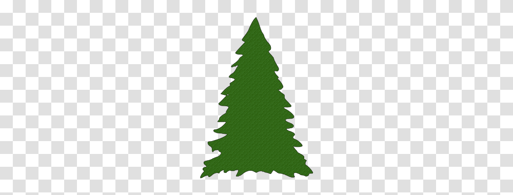 Free Pine Tree Christmas Paper This And That, Plant, Ornament, Christmas Tree, Person Transparent Png