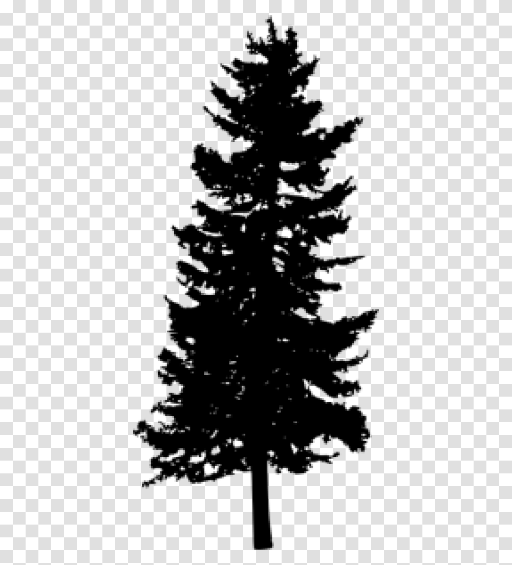 Free Pine Tree Silhouette Images Background Pine Tree Graphic, Plant, Fir, Abies, Conifer Transparent Png