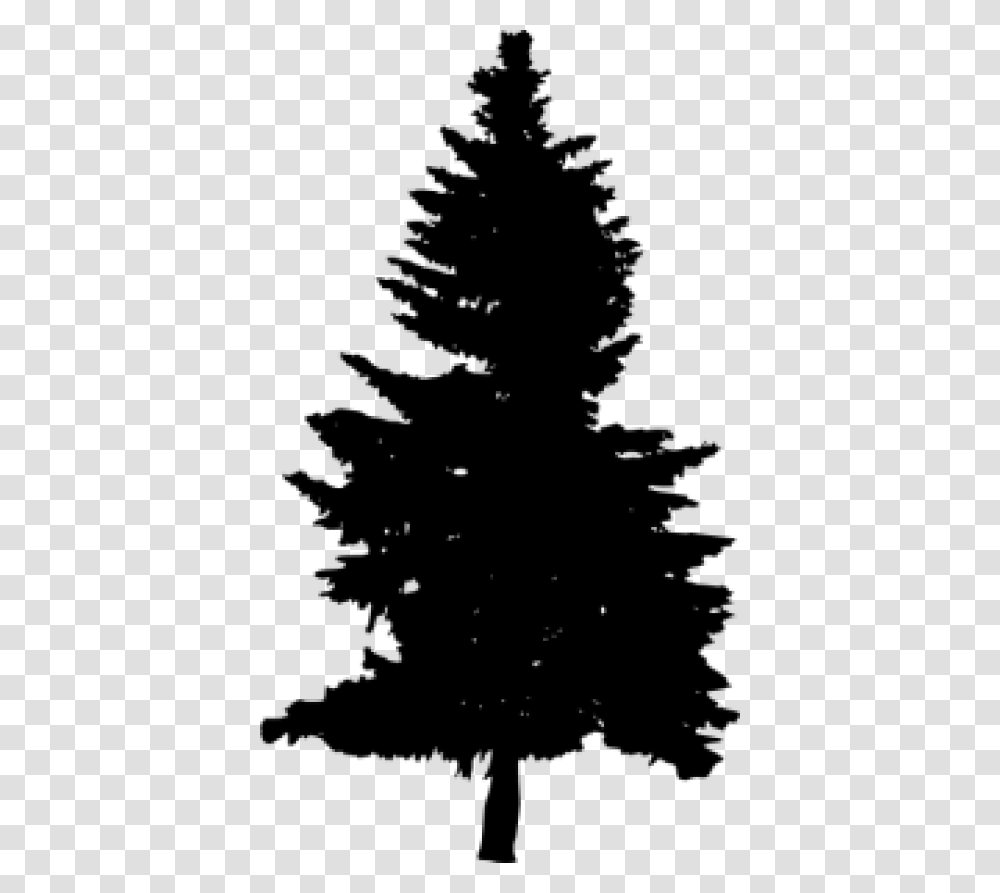 Free Pine Tree Silhouette Images Pine Tree Silhouette Black, Plant, Ornament, Fir, Abies Transparent Png