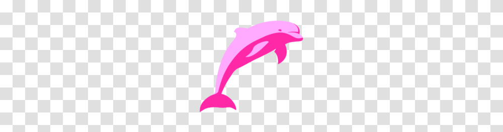 Free Pink Dolphin Cliparts Download Free Clip Art Free Clipart, Mammal, Sea Life, Animal Transparent Png