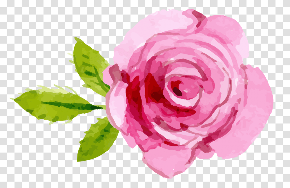 Free Pink Rose Background Download Clip Background Pink Rose Clipart, Plant, Flower, Blossom, Petal Transparent Png