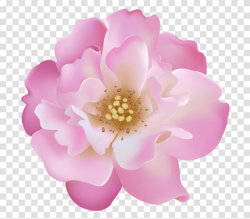Free Pink Rosebush Flower Artificial Flower, Plant, Blossom, Petal, Pollen Transparent Png