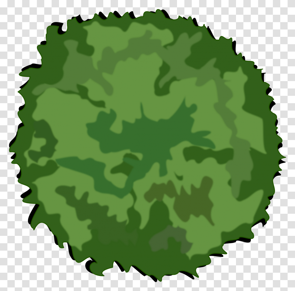 Free Plan Trees Download Clip Tree Top View, Green, Plant, Military Uniform, Painting Transparent Png