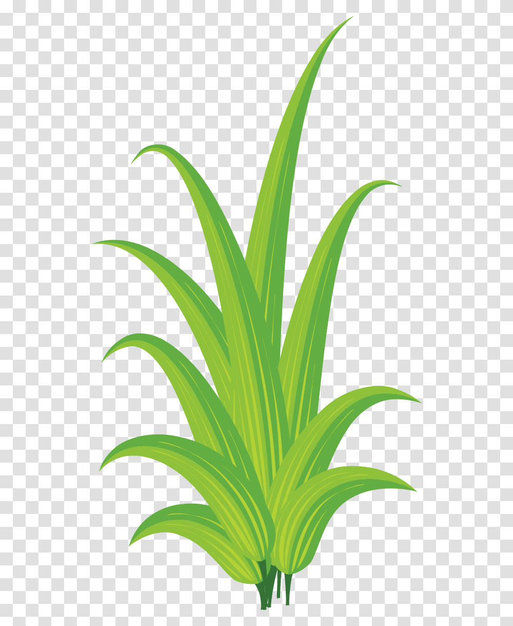Free Plant Clip Art, Produce, Food, Leek, Vegetable Transparent Png