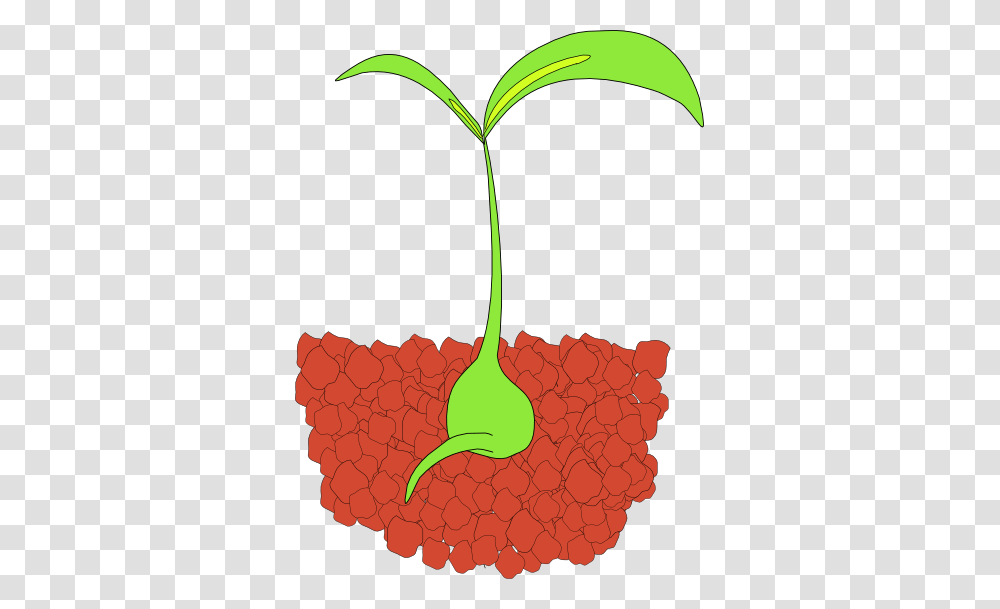 Free Plant Clipart, Soil, Flower, Animal Transparent Png