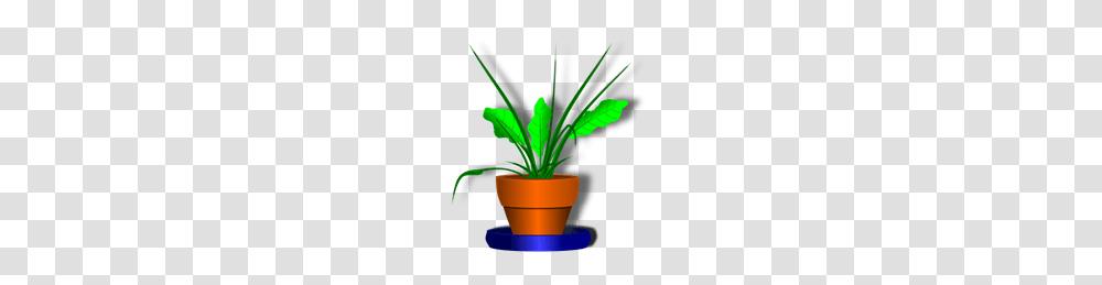 Free Plant Clipart Plant Icons, Leaf, Tree, Palm Tree, Arecaceae Transparent Png