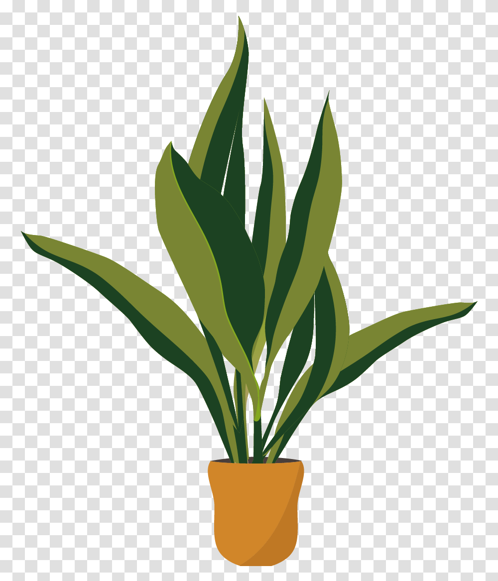 Free Plant Houseplant, Leaf, Palm Tree, Arecaceae, Flower Transparent Png