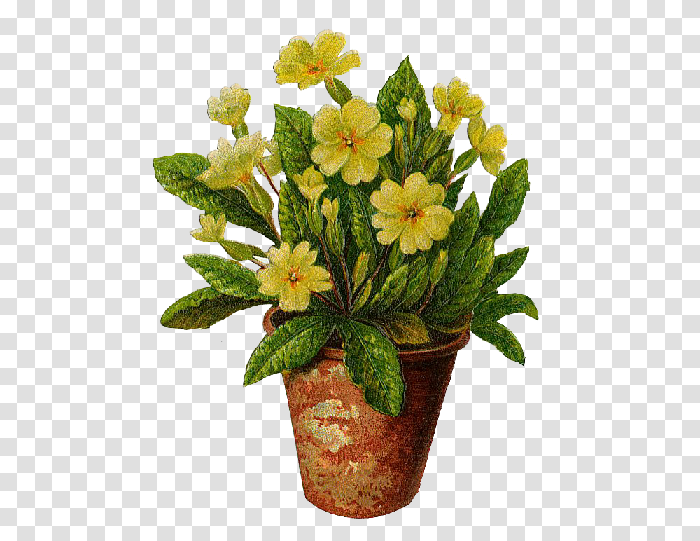 Free Plant Pot Download Clip Art Flowers In Pots, Blossom, Flower Arrangement, Flower Bouquet, Painting Transparent Png