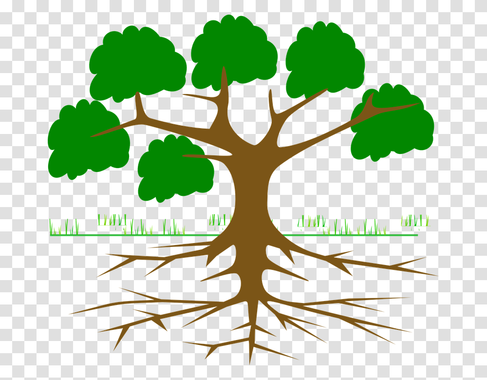 Free Plant Roots Tree With Roots Cartoon, Poster, Advertisement, Soil Transparent Png
