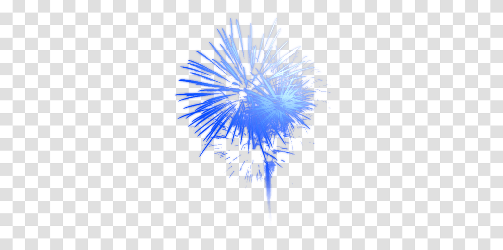 Free Pngs Background Blue Fireworks, Sea Life, Animal, Flower, Plant Transparent Png