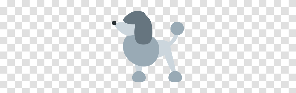 Free Poodle Dog Cute Pet Adopt Icon Download, Animal, Bird, Soccer Ball, Football Transparent Png