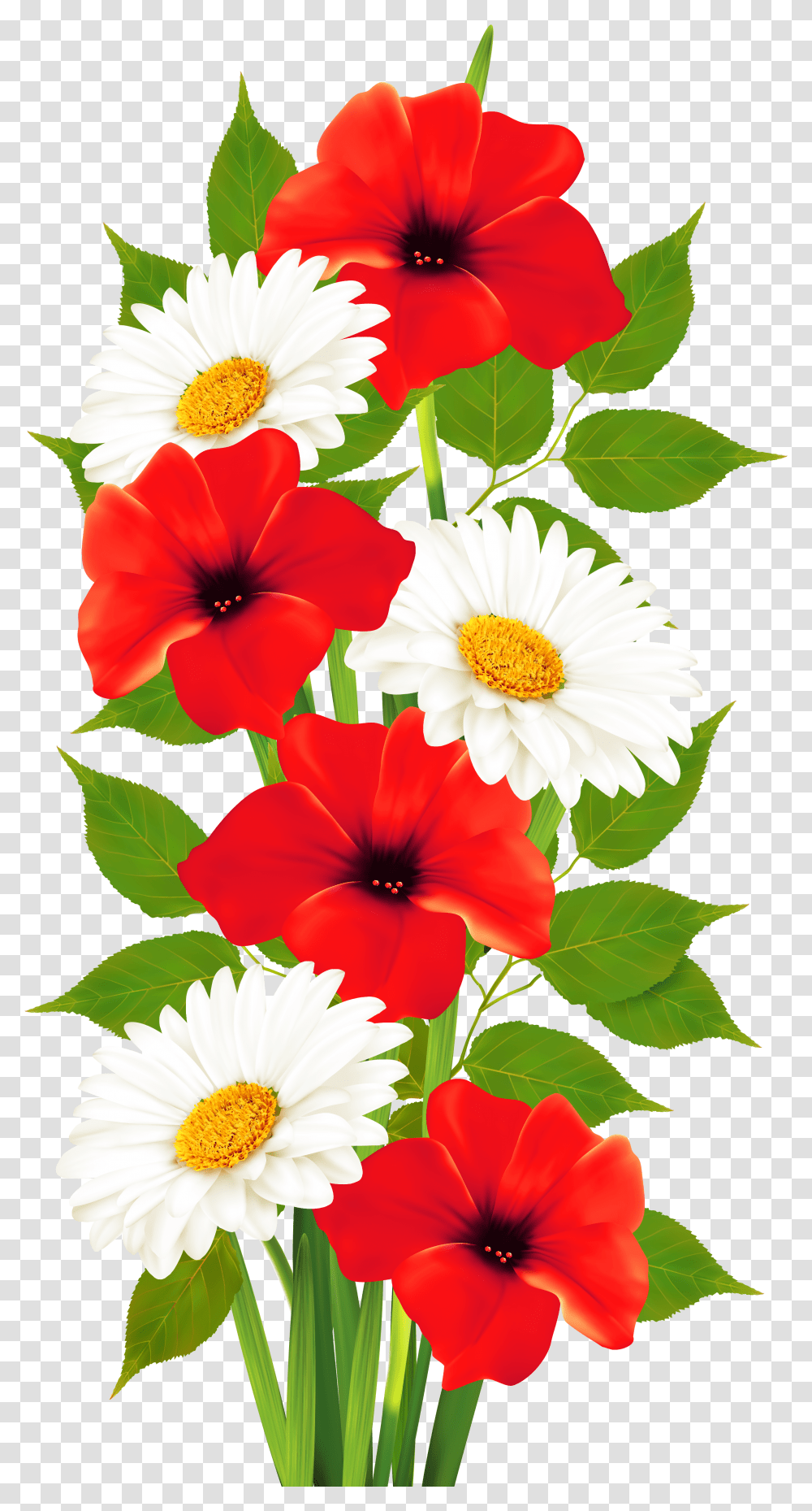 Free Poppy Flower Download Flower Colour Clipart Transparent Png