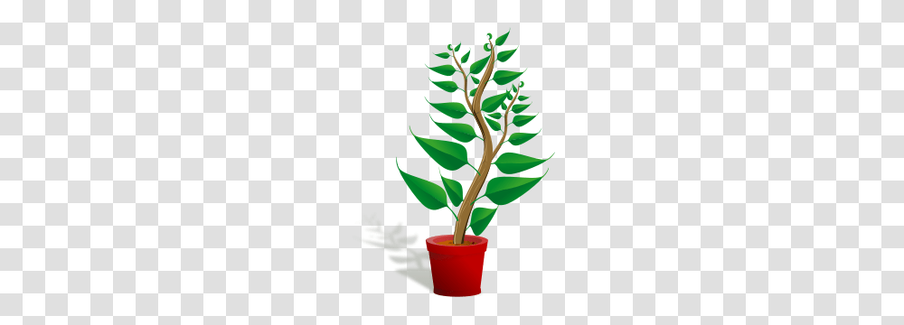 Free Pot Clipart Pot Icons, Leaf, Plant, Tree, Green Transparent Png
