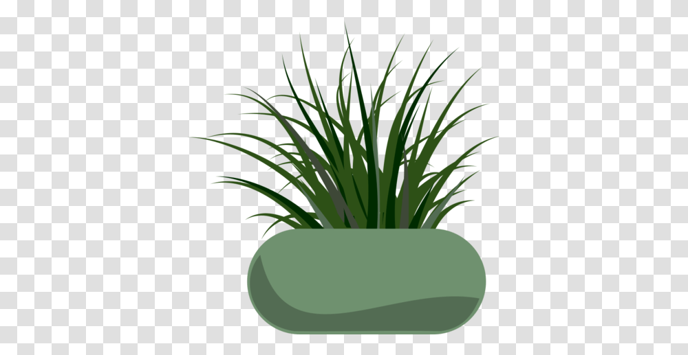 Free Potted Grass Clipart And Vector Graphics, Plant, Vegetation, Flower, Produce Transparent Png